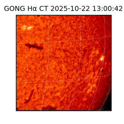 gong - 2025-10-22T13:00:42