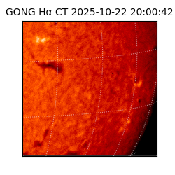 gong - 2025-10-22T20:00:42
