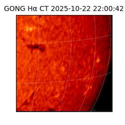 gong - 2025-10-22T22:00:42