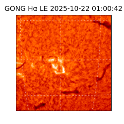 gong - 2025-10-22T01:00:42