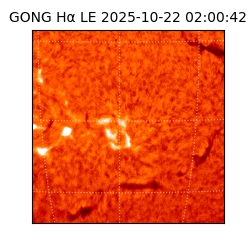 gong - 2025-10-22T02:00:42