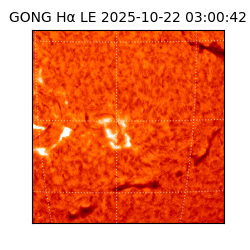 gong - 2025-10-22T03:00:42