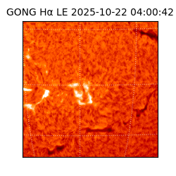 gong - 2025-10-22T04:00:42