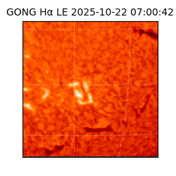 gong - 2025-10-22T07:00:42