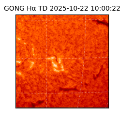 gong - 2025-10-22T10:00:22