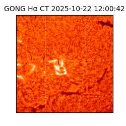 gong - 2025-10-22T12:00:42