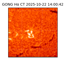 gong - 2025-10-22T14:00:42