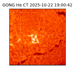 gong - 2025-10-22T19:00:42