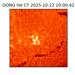 gong - 2025-10-22T20:00:42