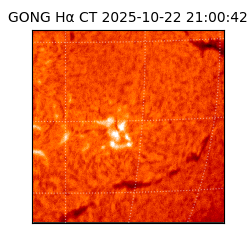 gong - 2025-10-22T21:00:42