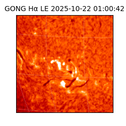 gong - 2025-10-22T01:00:42