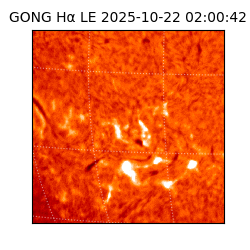 gong - 2025-10-22T02:00:42