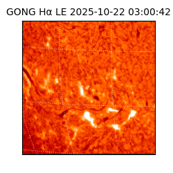 gong - 2025-10-22T03:00:42