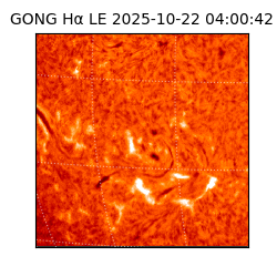 gong - 2025-10-22T04:00:42