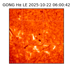 gong - 2025-10-22T06:00:42