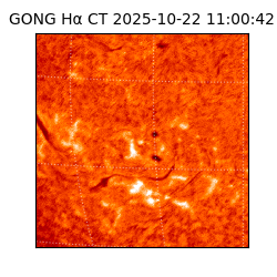 gong - 2025-10-22T11:00:42