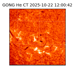 gong - 2025-10-22T12:00:42