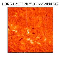 gong - 2025-10-22T20:00:42