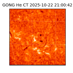 gong - 2025-10-22T21:00:42