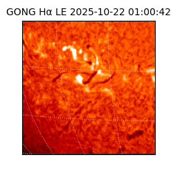 gong - 2025-10-22T01:00:42