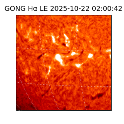 gong - 2025-10-22T02:00:42