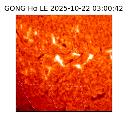 gong - 2025-10-22T03:00:42