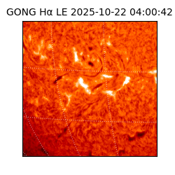 gong - 2025-10-22T04:00:42