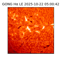 gong - 2025-10-22T05:00:42