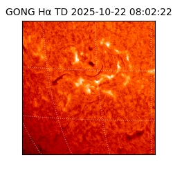 gong - 2025-10-22T08:02:22