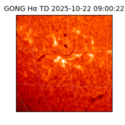 gong - 2025-10-22T09:00:22