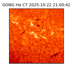 gong - 2025-10-22T21:00:42