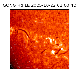 gong - 2025-10-22T01:00:42