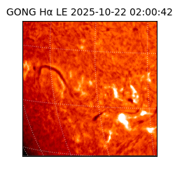 gong - 2025-10-22T02:00:42