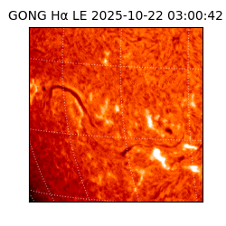 gong - 2025-10-22T03:00:42