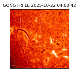 gong - 2025-10-22T04:00:42