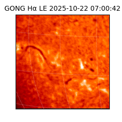 gong - 2025-10-22T07:00:42