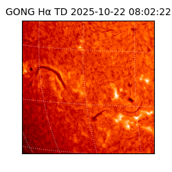 gong - 2025-10-22T08:02:22