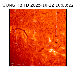 gong - 2025-10-22T10:00:22