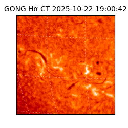 gong - 2025-10-22T19:00:42