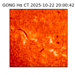 gong - 2025-10-22T20:00:42