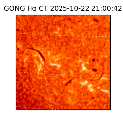 gong - 2025-10-22T21:00:42