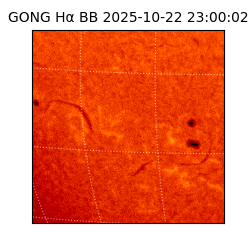 gong - 2025-10-22T23:00:02