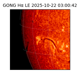 gong - 2025-10-22T03:00:42