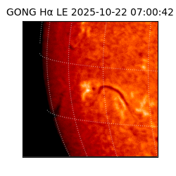 gong - 2025-10-22T07:00:42