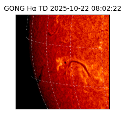 gong - 2025-10-22T08:02:22