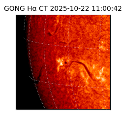 gong - 2025-10-22T11:00:42