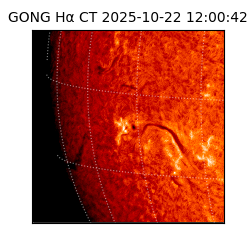 gong - 2025-10-22T12:00:42