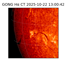 gong - 2025-10-22T13:00:42
