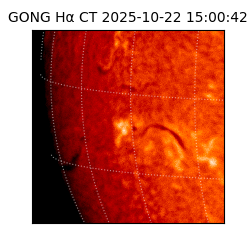 gong - 2025-10-22T15:00:42