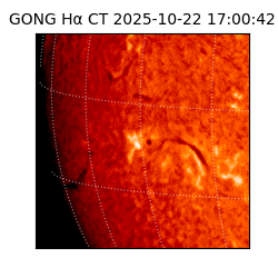 gong - 2025-10-22T17:00:42